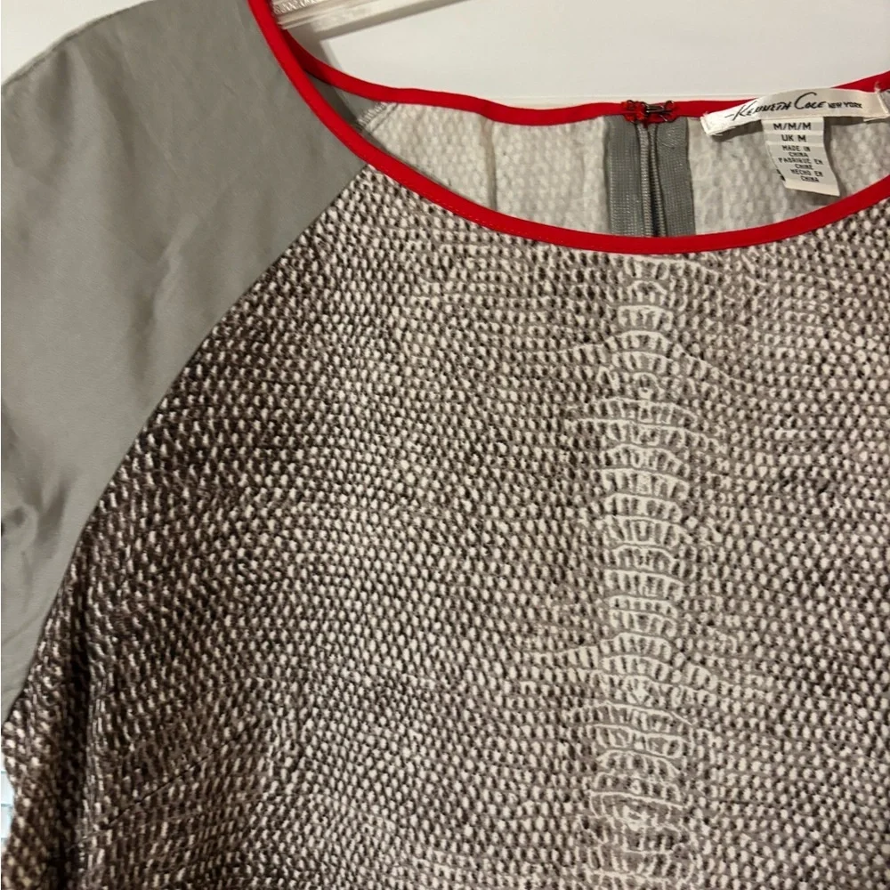 Kenneth Cole New York Gray Snake-Print Shift Dress with Red Trim - Picture 5 of 9